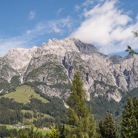 Chalet Steinberg Leogang Ngoại thất bức ảnh