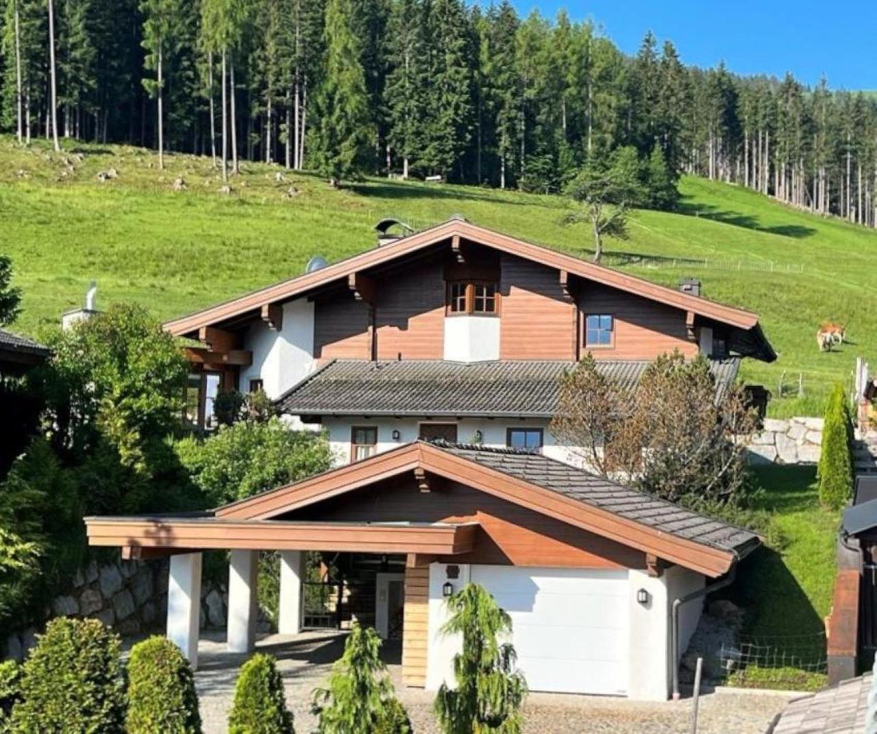 Chalet Steinberg Leogang Ngoại thất bức ảnh